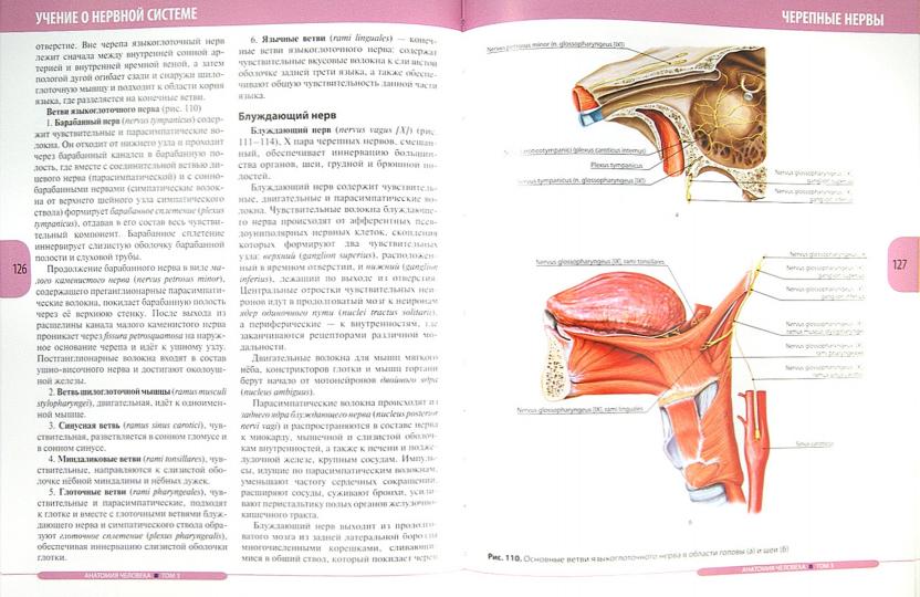 Анатомия человека.Т.3-Нервная система.Органы чувств.Учебник в 3 томах