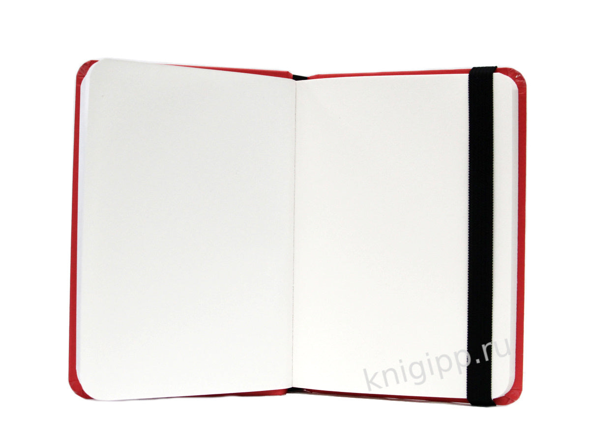 MyArt. Pocket СКЕТЧБУК. ЧЕРЕП