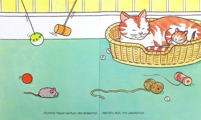 Домашние питомцы