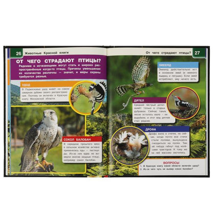 ЖИВОТНЫЕ КРАСНОЙ КНИГИ.Энциклопедия А4 с дополненной реальностью 4D197х255мм,48 стр. Умка в кор.15шт