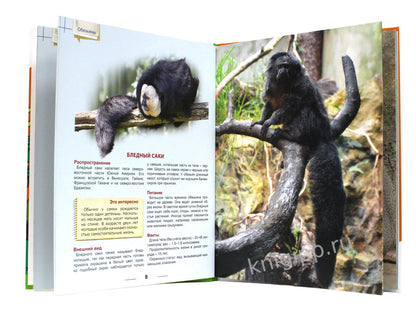 ЭНЦИКЛОПЕДИЯ ДЛЯ ДЕТЕЙ новые. ОБЕЗЬЯНЫ
