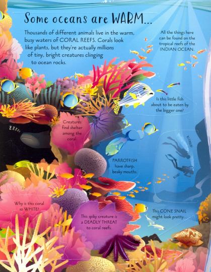See Inside Oceans (board book)