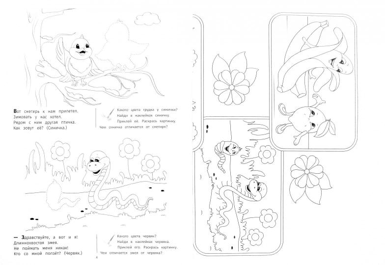 Чем отличаются: книжка-раскраска