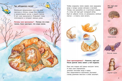 Кто такая орешниковая соня? Познавательные истории (НОВИНКА)