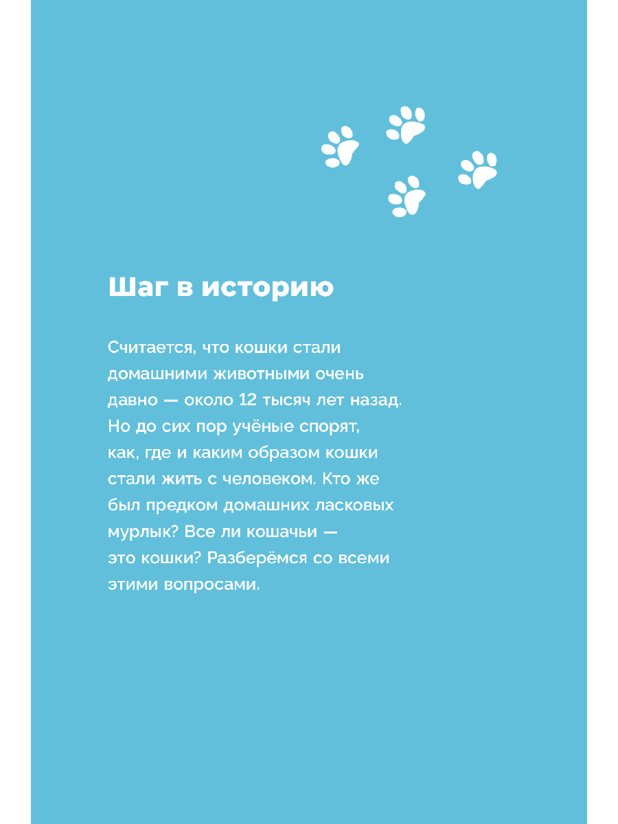 Хочу котенка! Полное пособие по уходу за питомцем