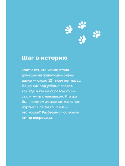 Хочу котенка! Полное пособие по уходу за питомцем