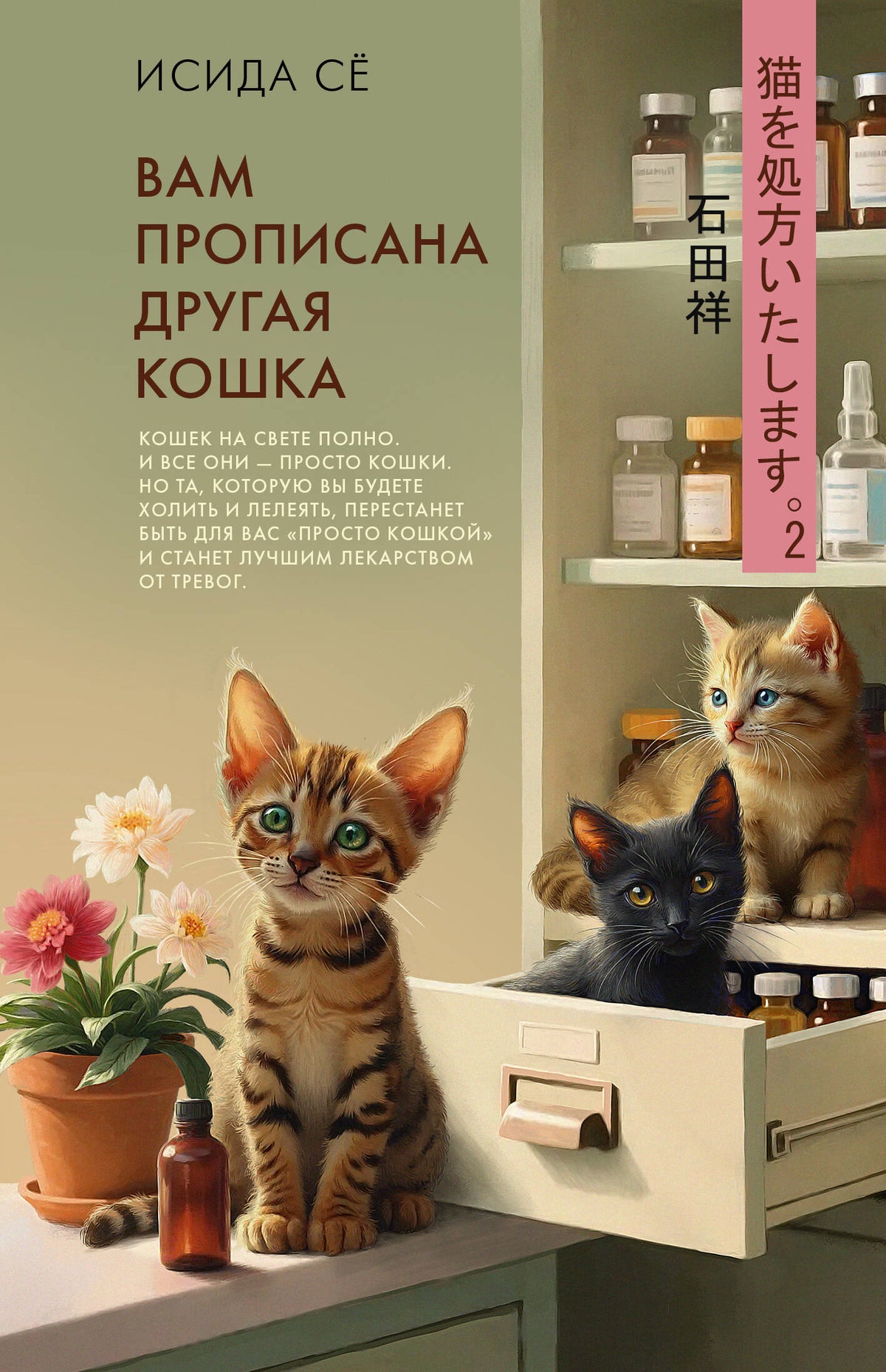 Вам прописана другая кошка