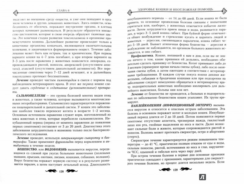 Кошка в доме. Справочник о здоровой кошке