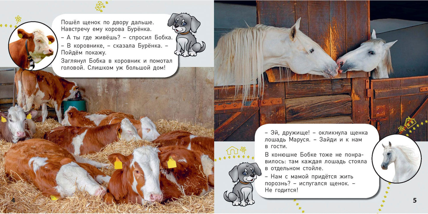 Кто где живёт? (ожидается поступление)