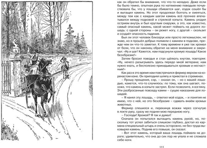 Чёрный Красавчик