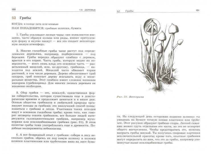 От звезды до росинки. 120 удивительных явлений природы. 2-е изд. Зентгни Й.