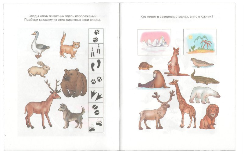 Что нас окружает (5-6 лет)