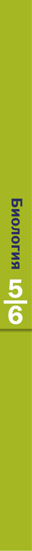 Биология. 5-6 класс. Учебник.