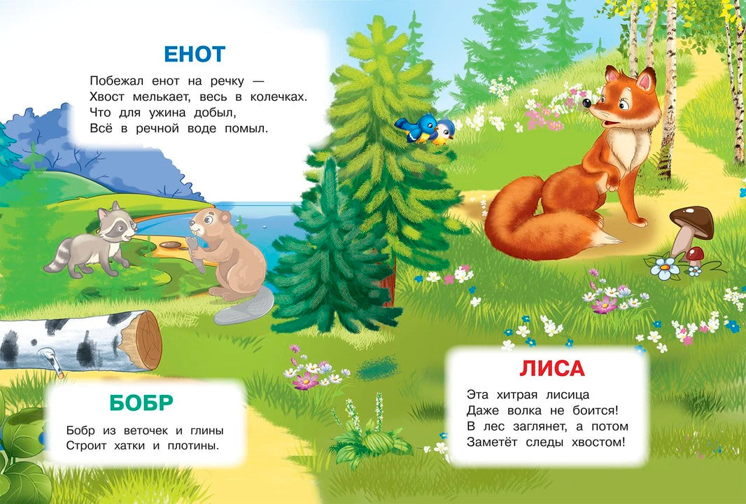 Лесные животные. Играем и учимся (с наклейками). /Шестакова.