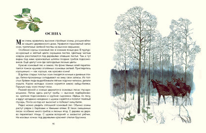 Русский лес. Соколов-Микитов И.С.