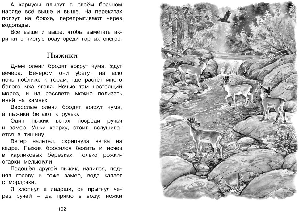 Беспокойный хвостик