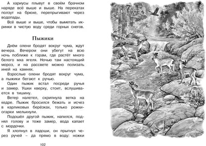 Беспокойный хвостик
