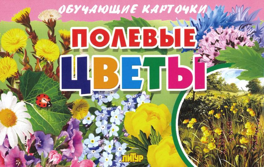 Карточки. Полевые цветы ; Карточки. Полевые цветы