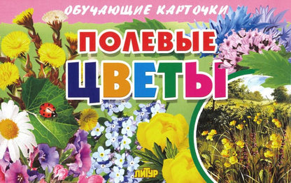 Карточки. Полевые цветы ; Карточки. Полевые цветы