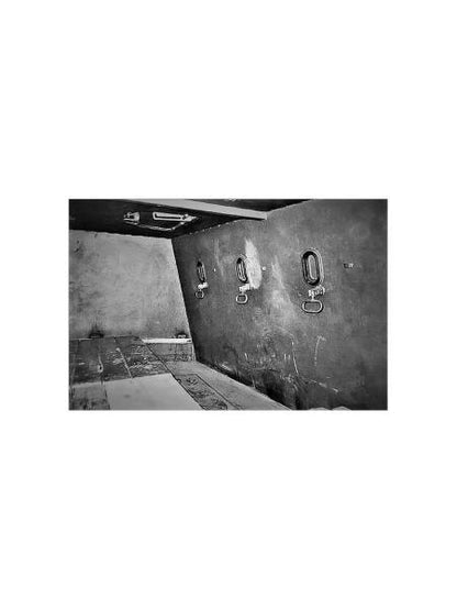 Приказано влюбить