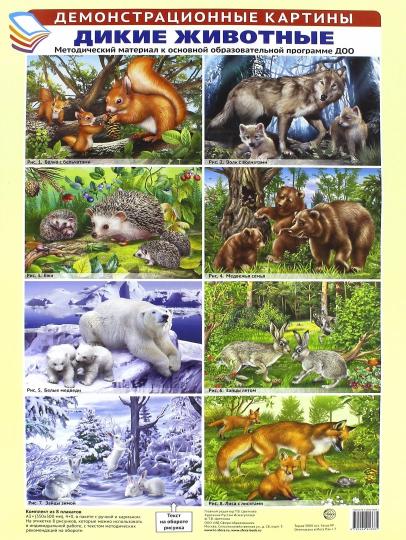 Демонстрационные картины А3. Дикие животные. Методический материал к основной образовательной программе ДОО (8 картин А3+, этикетка с текстом заданий на обороте)