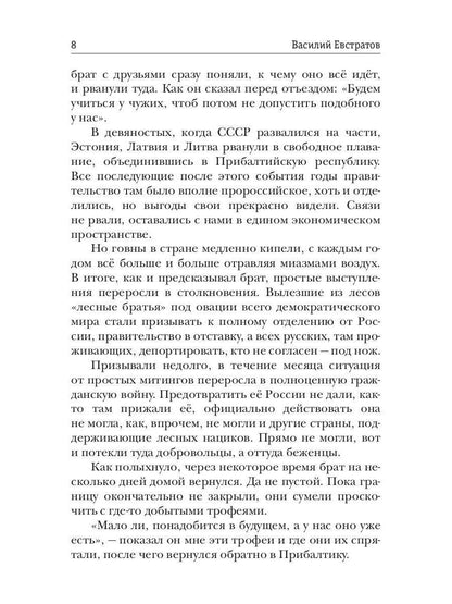 Миры Артема Каменистого. S-T-I-K-S. Гаситель