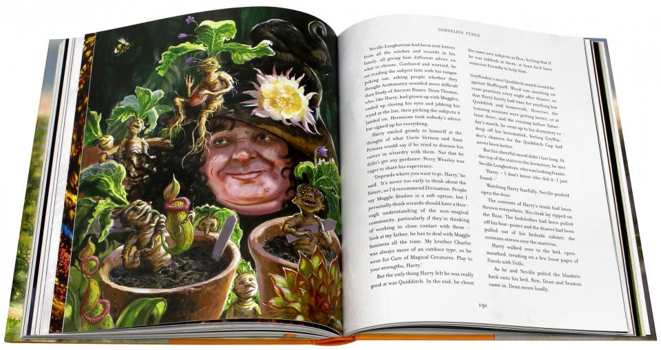 Harry Potter and the Chamber of Secrets Illustrated Edition (J.K. Rowling) Гарри Поттер и Тайная комната Илл. издание/ Книги на английском языке