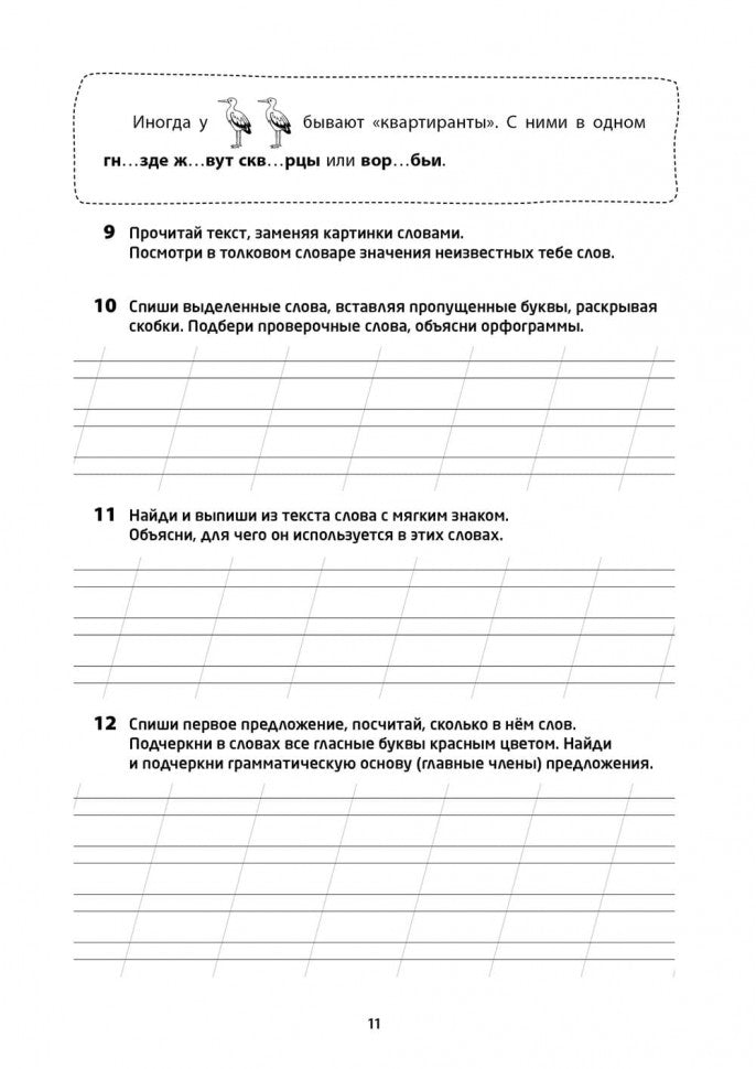 Логоментальные прописи и тренажеры для начальной школы. Птицы: 2-4 класс