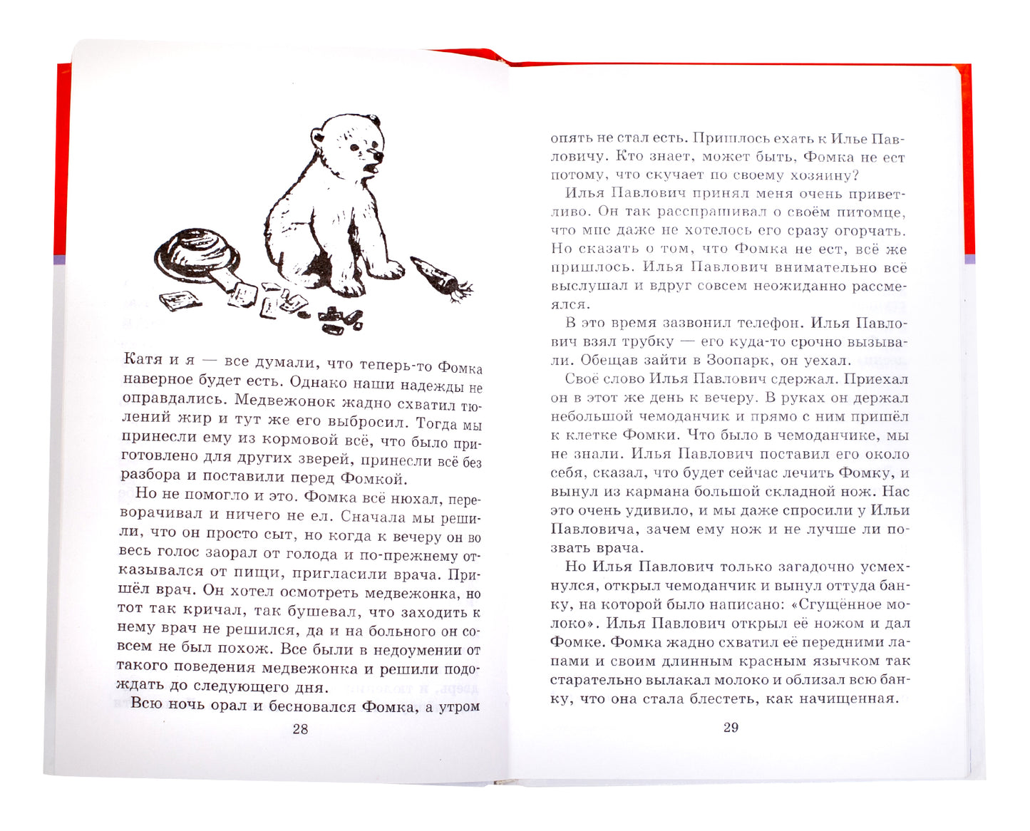 Забавные животные