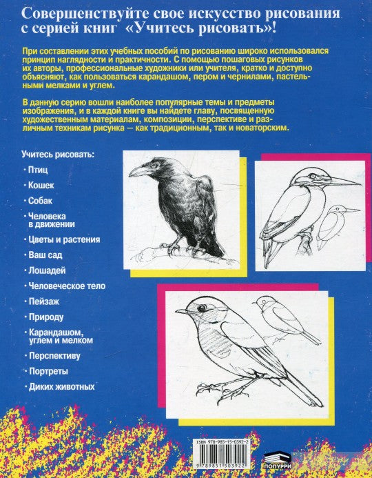 Учитесь рисовать птиц