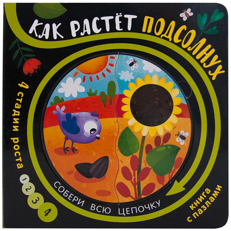 Собери цепочку. Как растет подсолнух