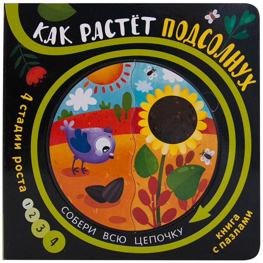 Собери цепочку. Как растет подсолнух