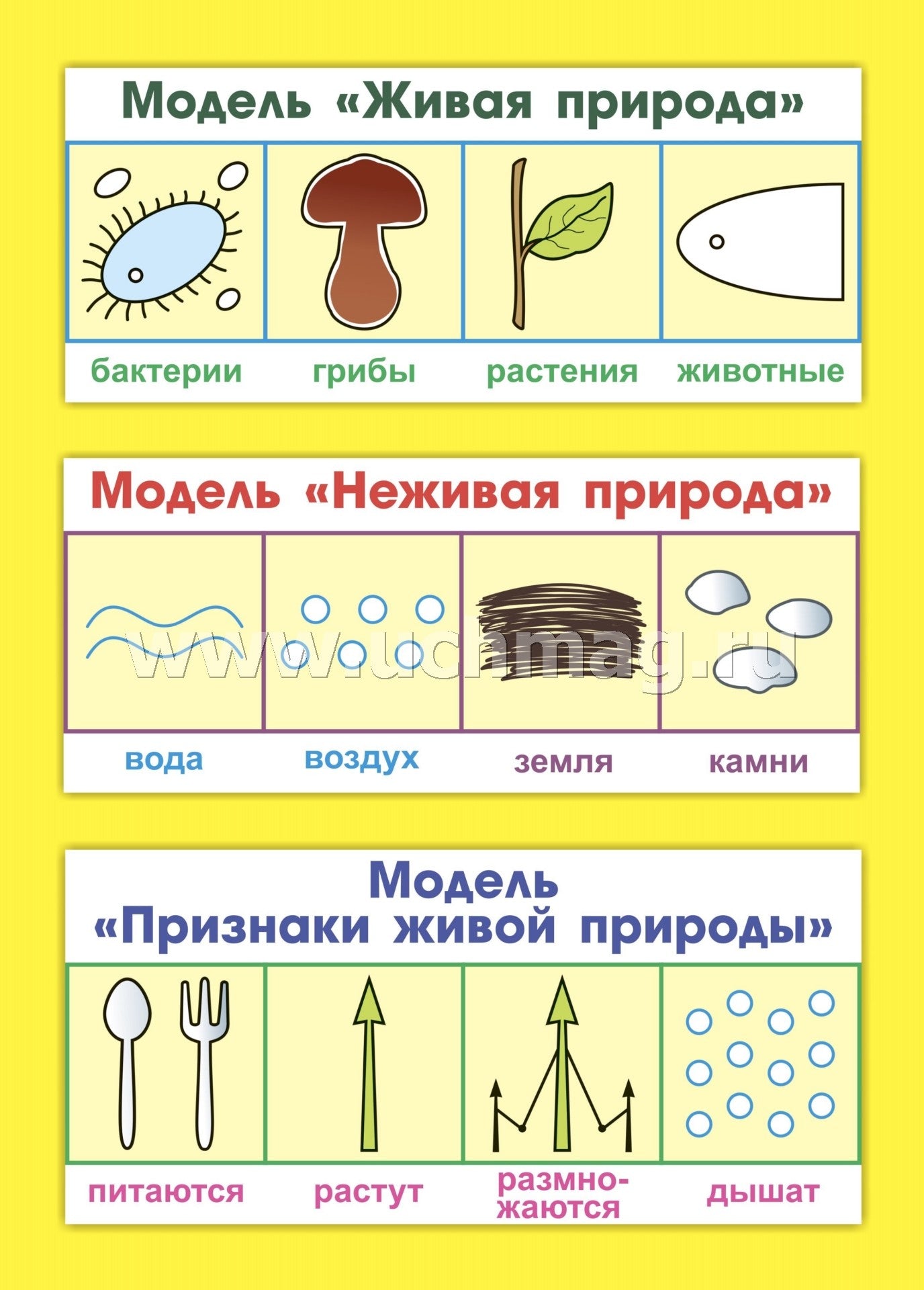 ФГОС ДО Развитие экологической культуры детей 5-8 лет. Комплект Мир животных. Образовательная область "Познавательное развитие". (32 цветные односторонние иллюстрации, 8 черно-белых двухсторонних карт, формат А4)