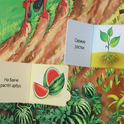 Животные. 100 окошек для малышей. 222х282 мм. 12 картонных стр. Умка в кор.12шт