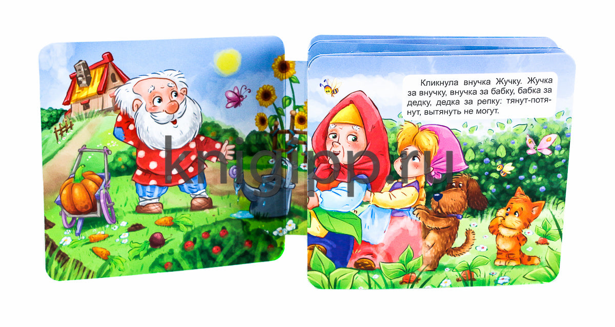 КНИЖКА-ГАРМОШКА. РЕПКА