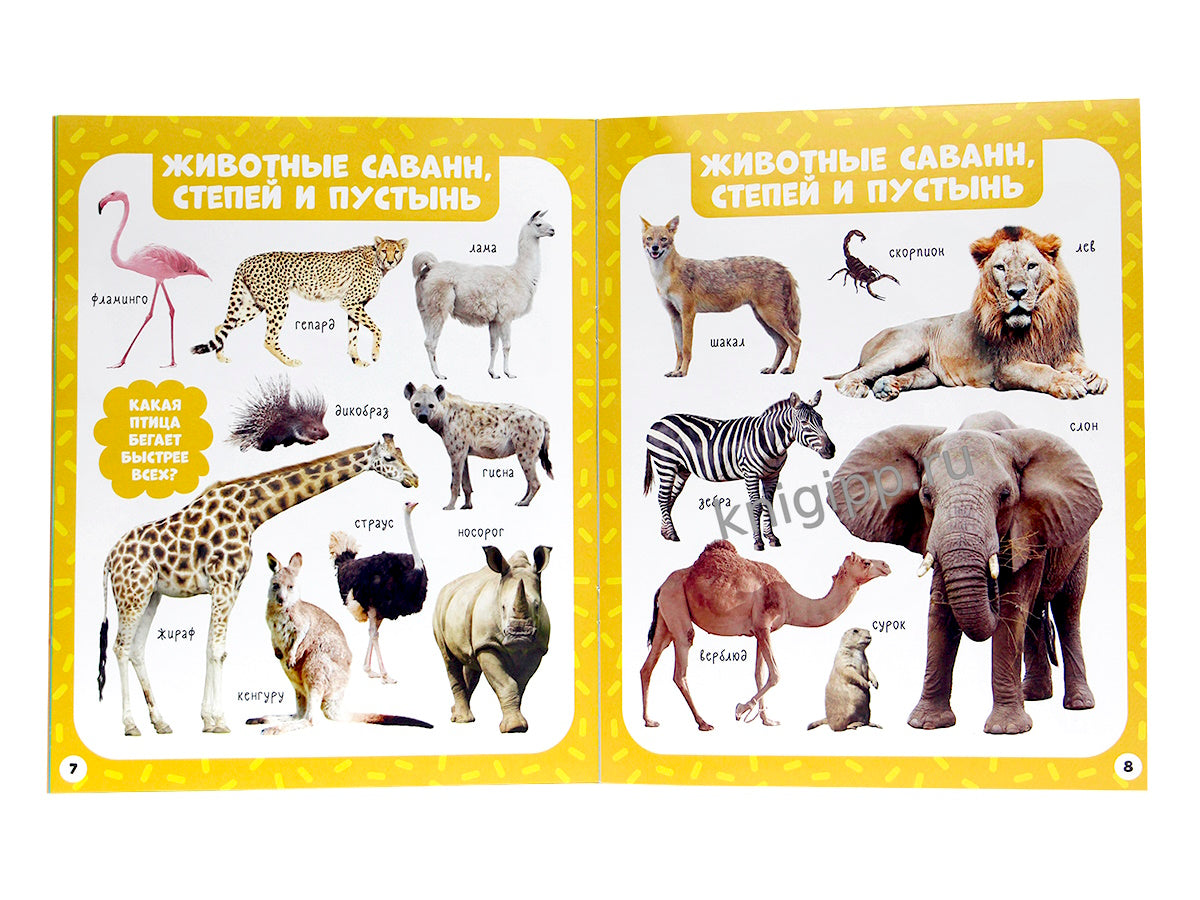 МОИ ПЕРВЫЕ СЛОВА. Животные