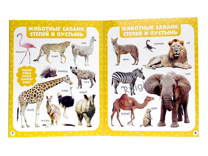 МОИ ПЕРВЫЕ СЛОВА. Животные