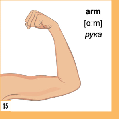 500 самых нужных английских слов и фраз. Флеш-карточки (с русской транскрипцией)