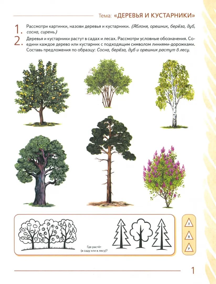 Развиваем св.речь у детей 6-7л.с ОНР. Мир растений