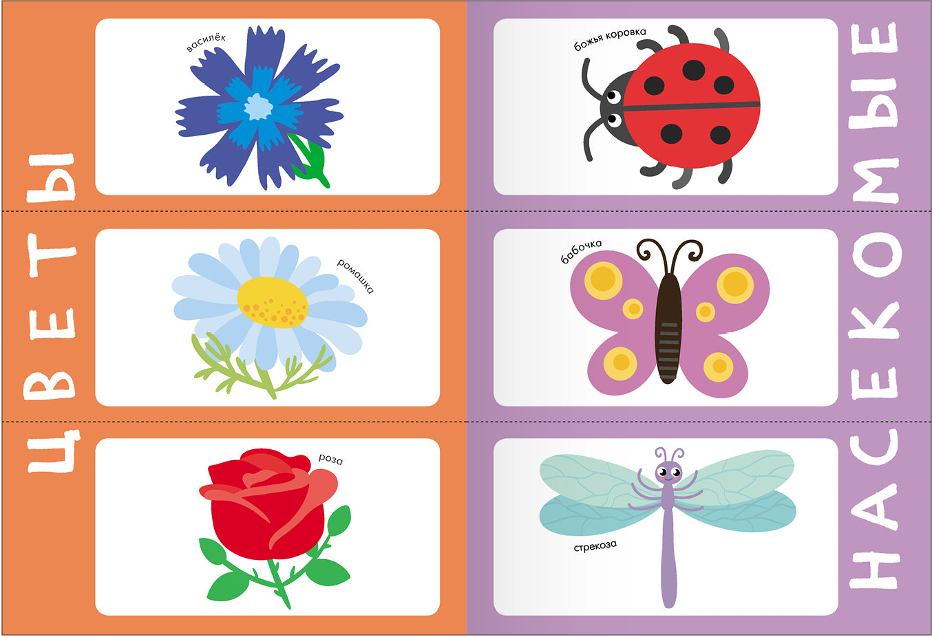 Школа Семи Гномов. Базовый курс. слово, мышление, моторика. Комплект 1+