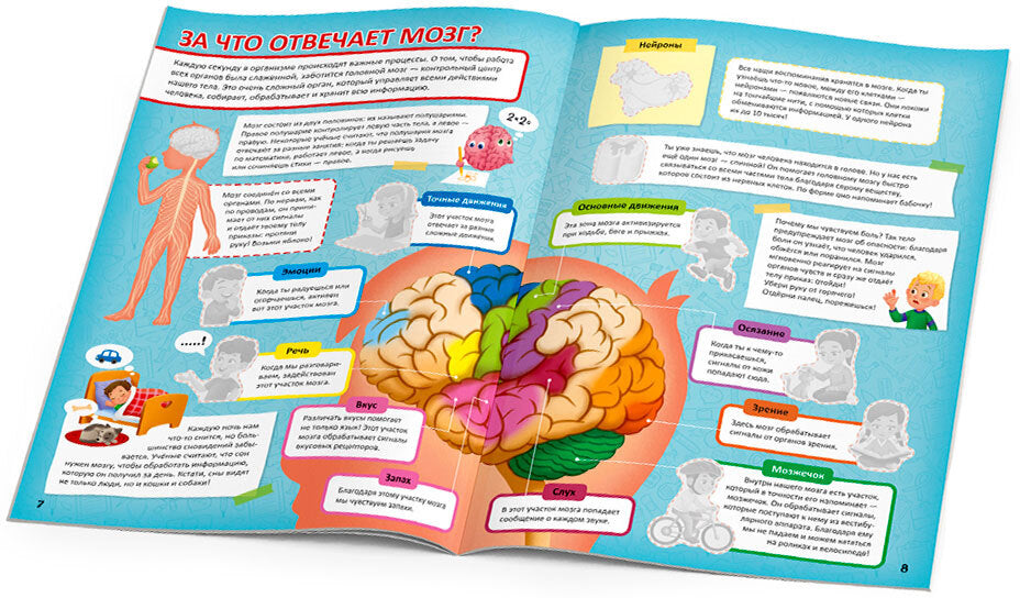Атлас с наклейками. Тело человека. 21х29,7 см. 16 стр. ГЕОДОМ