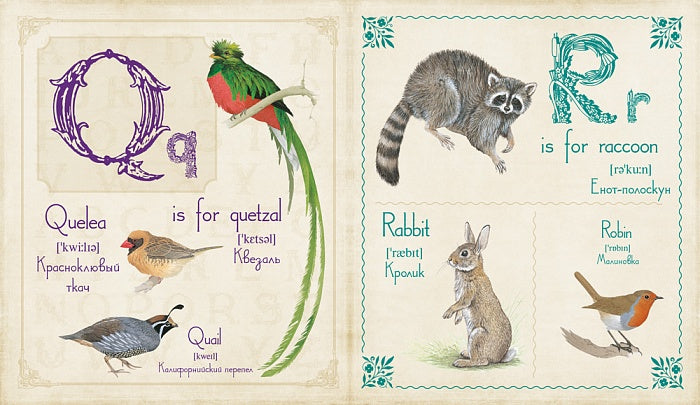 Живой английский