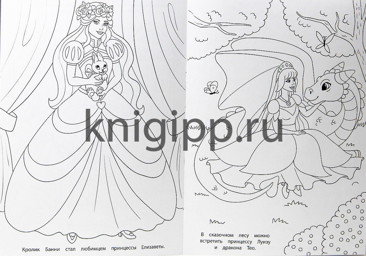 РАСКРАСКА ДЛЯ ДЕВЧОНОК. ПИТОМЦЫ ПРИНЦЕСС