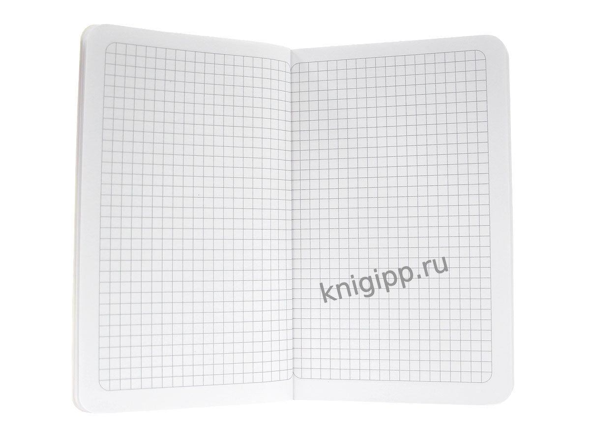 MyArt. БЛОКНОТ в клетку Дутыши. Звёзды(голубой)