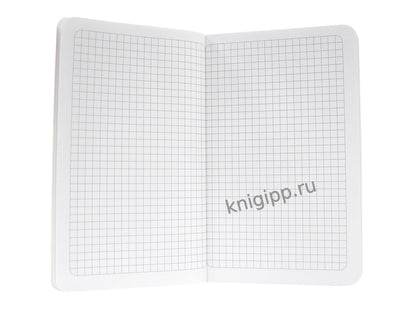 MyArt. БЛОКНОТ в клетку Дутыши. Звёзды(голубой)