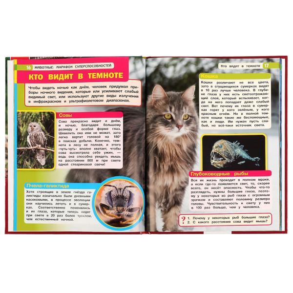 Животные: марафон суперспособностей.Н.В.Седова.Энциклопедия с развивающими заданиями. Умка в кор12шт