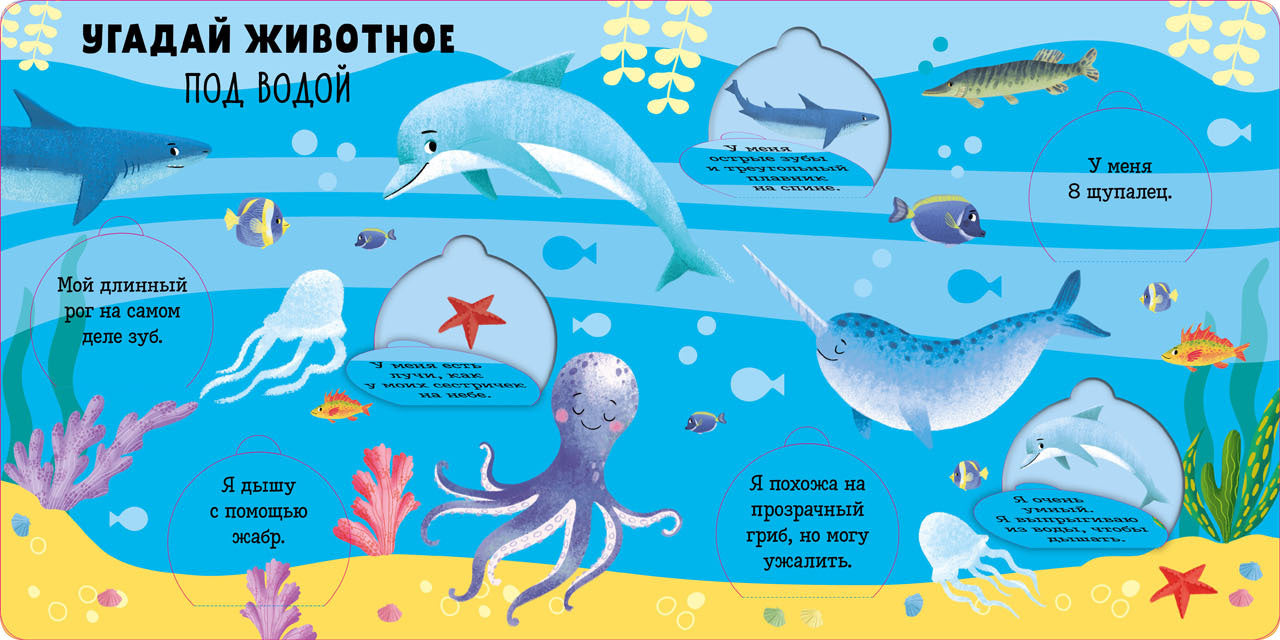 Книжка с окошками. Угадай животное