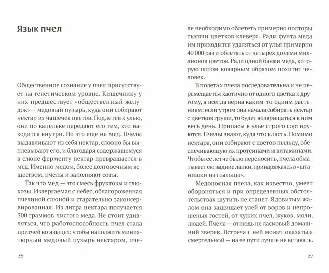 Песнь о меде: культурологическое исследование пчел