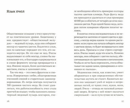 Песнь о меде: культурологическое исследование пчел