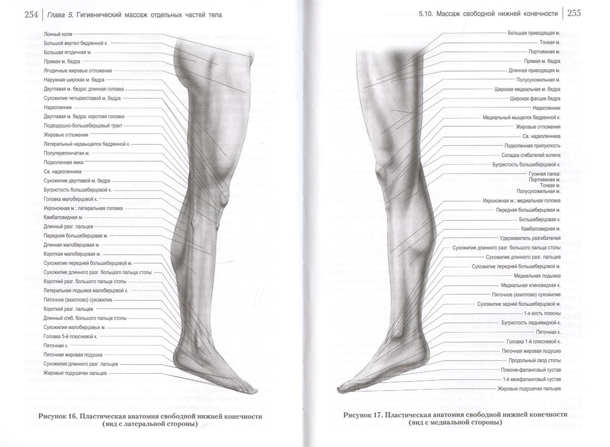Классика массажа